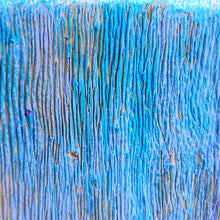 Load image into Gallery viewer, The Elevate Centrepiece