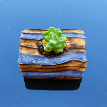 Load image into Gallery viewer, The Singular Essence Block